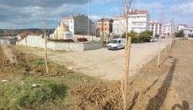 'Beyaz Ruslar'ın göçünün 100. yıldönümünde Gelibolu'da 100 ağaç dikildi