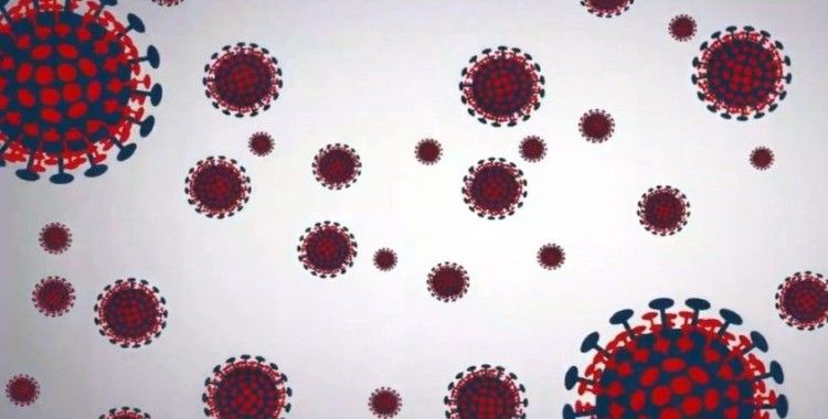 ABD'de günlük koronavirüs vaka sayısı yüzde 12 arttı