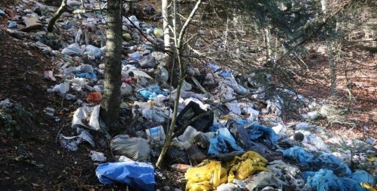 Bolu'da ormanlara atılan çöpler doğal hayatı tehdit ediyor