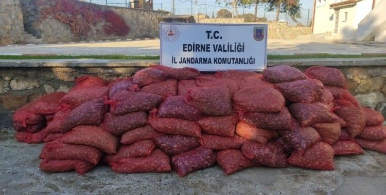 Edirne'de 600 bin TL'lik 3 ton kum midyesi ele geçirildi