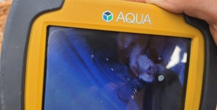 Borunun içine sıkışıp üzerine beton dökülen kedi 2 gün sonra kurtarıldı