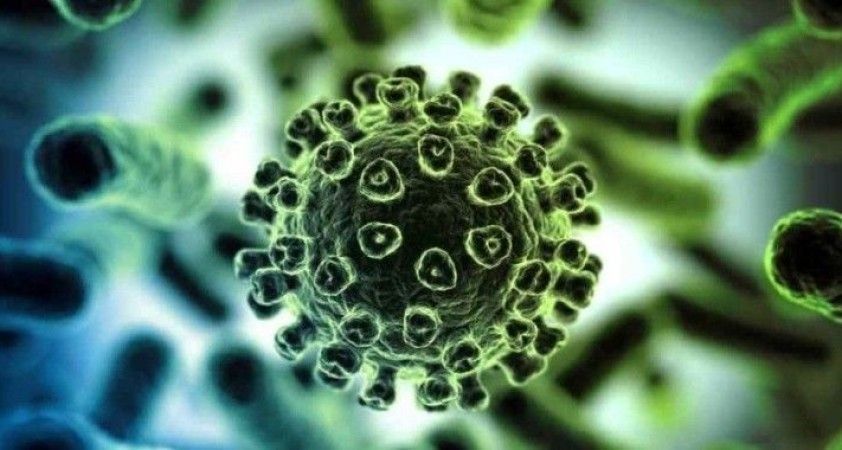 Καταγραφή ιών – 290 ημέρα