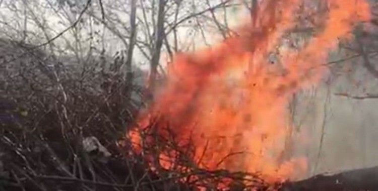 Ordu'da ormanlık alanda çıkan yangın paniğe neden oldu