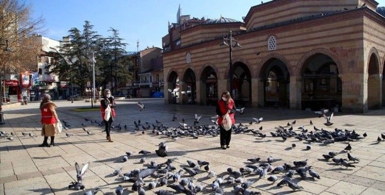 Türk Kızılay kısıtlamada kuşlar ve sokak hayvanlarını unutmadı