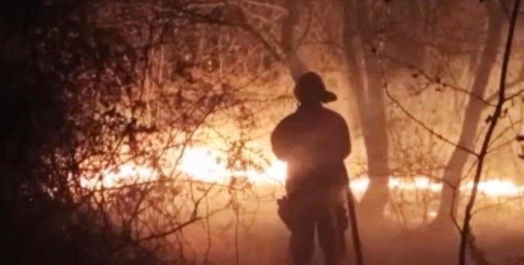 Adil Öksüz’ün çanta gömdüğü iddia edilen bölgede orman yangını