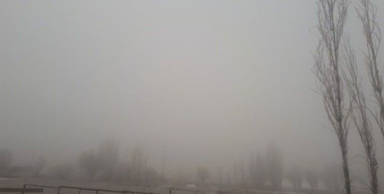 Tuzluca'da don ve sis etkili oldu