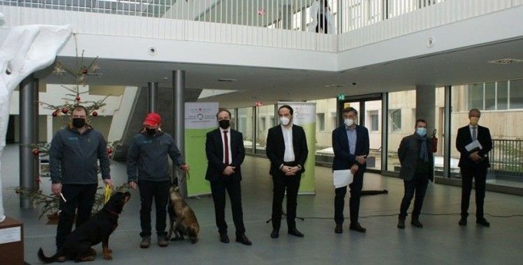 İtalya’da köpekler, okullarda Covid-19 taraması yapacak