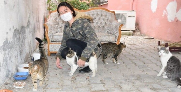 Üniversite sınavına hazırlanırken 50 kedi ve 15 köpeğe sahip çıktı