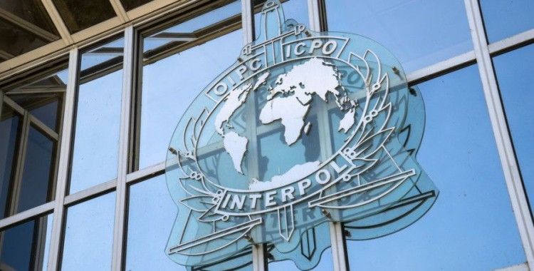 Interpol'den Endonezya'da düşen uçaktaki yolcuların kimlik tespiti için yardım teklifi
