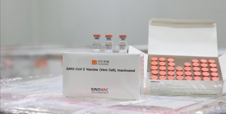Brezilya'da Sinovac aşısının etkinlik oranındaki değişime virüsü 'çok hafif' atlatan vakalar neden oldu