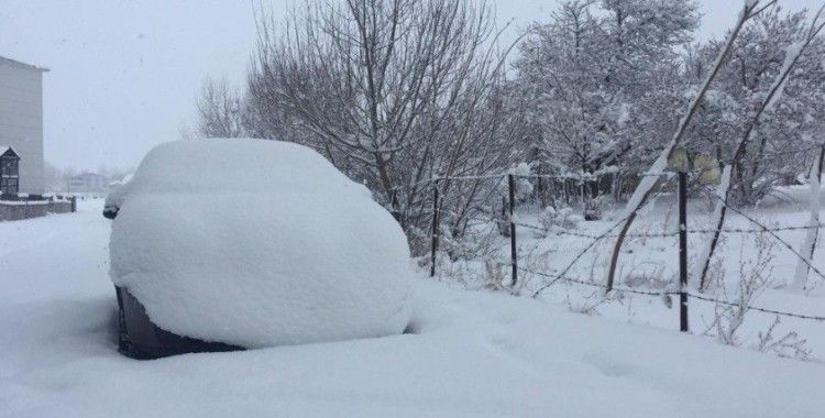 Bingöl’de 115 köy yolu kapandı, Karlıova kara gömüldü