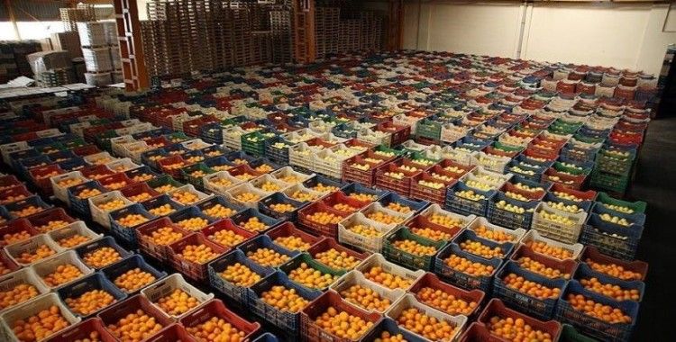 Türkiye'nin 2020'de yaş meyve sebze ihracatına 5 ürün 'damga vurdu'