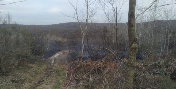 Beykoz'da havaya açılan ateş ormanlık alanı yaktı