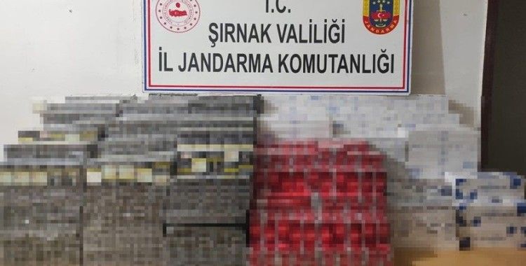 Şırnak’ta kaçakçılık operasyonu: 35 gözaltı