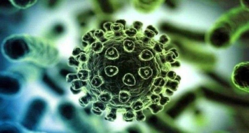 Αρχείο καταγραφής ιών – 339η ημέρα