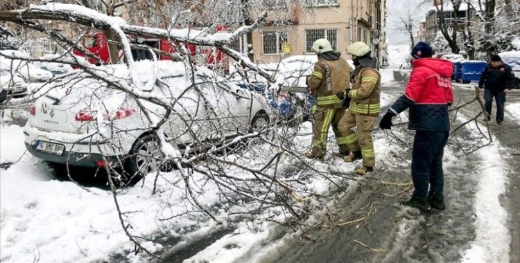 İstanbul'da kar yağışı ve fırtınada 517 ağaç ve direk devrildi