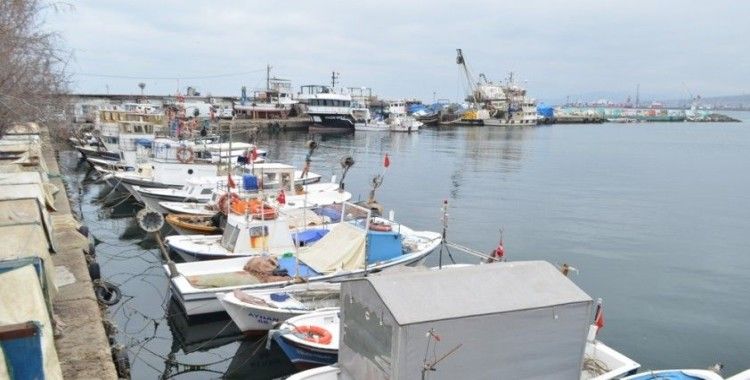 Marmara’da balıkçıların korkulu rüyası 10 yıl sonra geri döndü