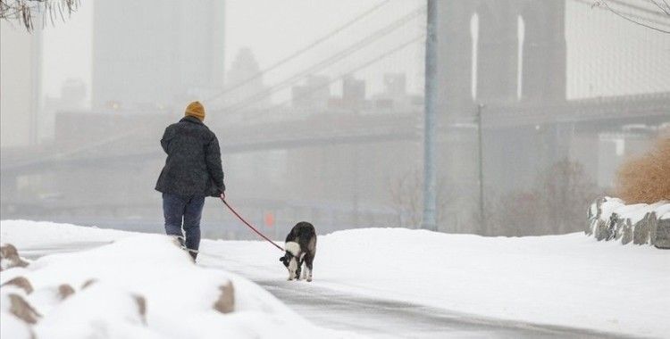 ABD'deki sert kış şartları hayatı olumsuz etkilemeye devam ediyor: 58 ölü