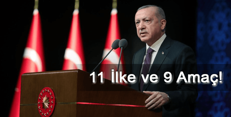 Cumhurbaşkanı Erdoğan'ın İnsan Hakları Eylem Planı açıklamasının detayları: 11 ilke ve 9 amaç