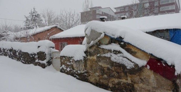Bitlis'te 185 köy yolu ulaşıma kapandı