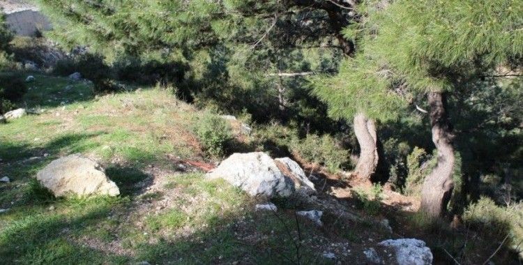 İzmir'de ormanlık alanda kafatası ve kemik parçaları bulundu