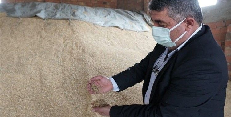 Cumhurbaşkanı Erdoğan'ın müjdesi çiftçileri sevindirdi