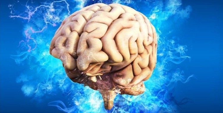 Beyindeki hidrojen sülfür miktarının düşürülmesi bazı beyin rahatsızlıklarının tedavisinde kullanılabilir