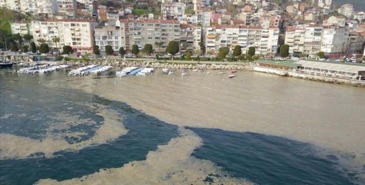 Bursa'da, plankton çoğalması deniz suyu kahverengiye dönüştürdü
