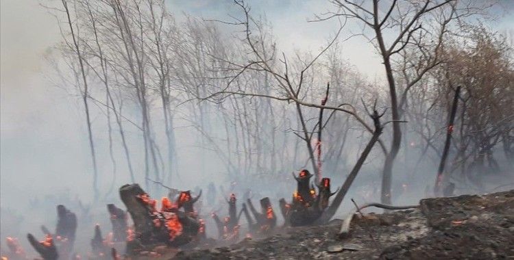 İzmir'de dağlık alanda yangın çıktı
