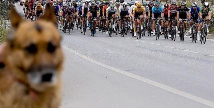 56. Cumhurbaşkanlığı Türkiye Bisiklet Turu'nun Bodrum-Kuşadası etabı başladı