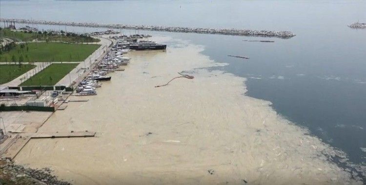 Anadolu Yakası'nda deniz yüzeyinde oluşan beyaz tabaka kıyıya da vurdu