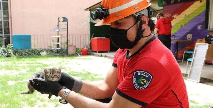 Bolu'da büfenin çatısında sıkışan 3 yavru kedi cep telefonundan açılan kedi sesiyle kurtarıldı