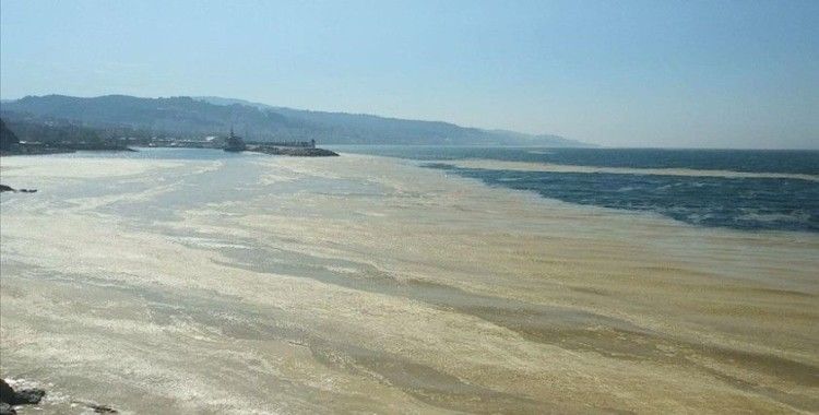 Marmara Denizi'nin birçok noktasına yayılan 'deniz salyası' Mudanya sahilini de kapladı