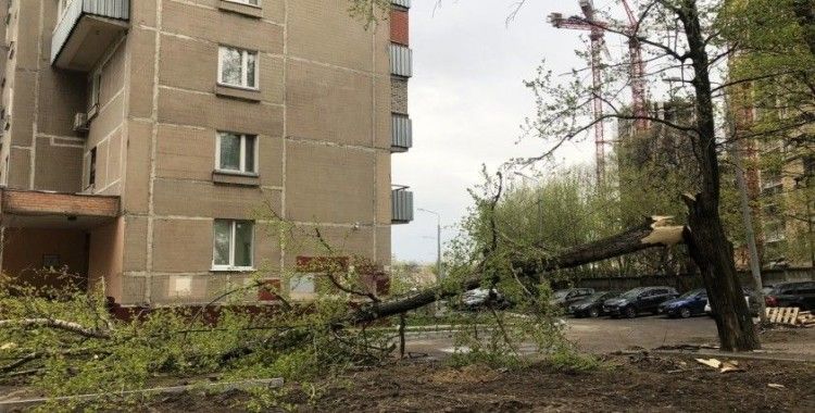 Moskova'da şiddetli rüzgar 56 ağacı devirdi: 2 yaralı