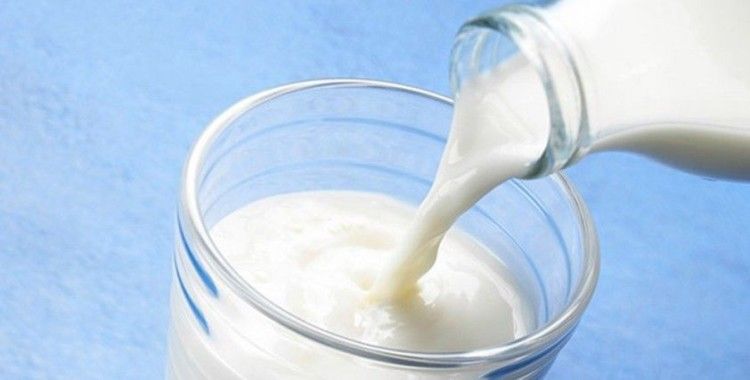 İnek sütü miktarı yüzde 1,7 arttı