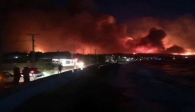Yunanistan'daki orman yangını 40 bin dönümden fazla alanı küle çevirdi
