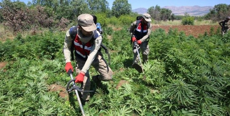 Diyarbakır'da dev uyuşturucu operasyonu başlatıldı