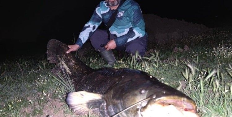 Tekirdağ’da dev yayın balığı yakalandı