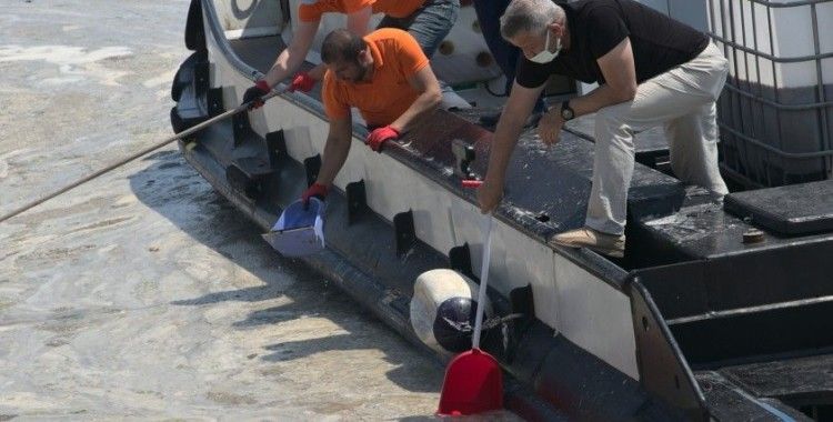 Vatandaşlar deniz salyasını küreklerle topladı