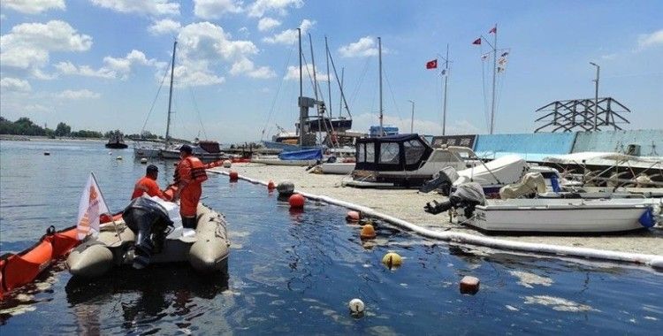 İstanbul ve İzmit Körfezi'nde müsilaj temizleme çalışmaları devam ediyor