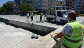 Çanakkale Boğazı’nda bugün de müsilaj temizliği devam ediyor