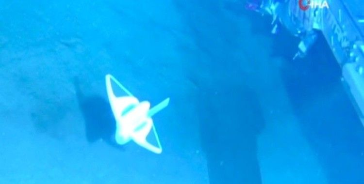 Derin denizleri gözlemleyebilmek için yumuşak robot balık geliştirildi