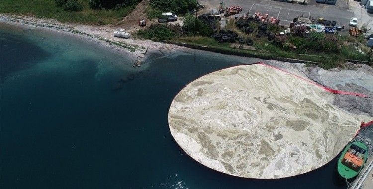 Bakan Kurum: Marmara Denizi'nden 6 günde 2 bin 166 metreküp müsilaj temizlendi