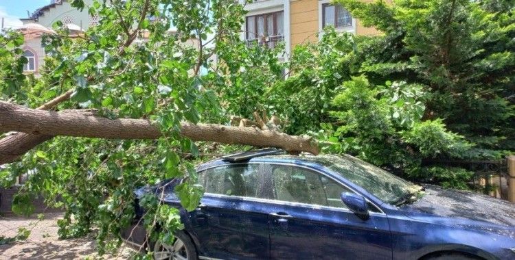 Ataşehir’de çürüyen ağaç arabanın üstüne devrildi