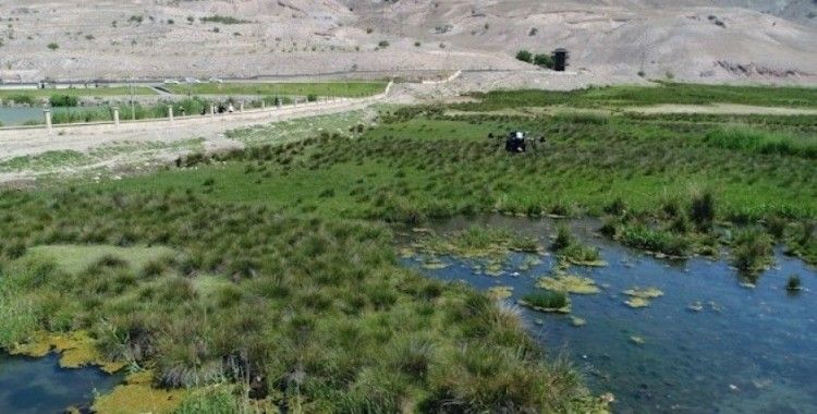 Erzincan’da sulak alanlar havadan ilaçlandı