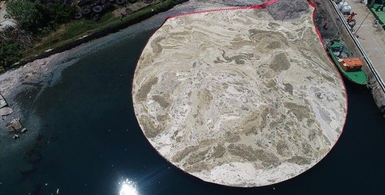 Bakan Kurum: Marmara Denizi'nden 13 günde 4 bin 929 metreküp müsilaj temizlendi