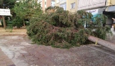 Denizli'de 5 dakikalık kum fırtınası yıktı geçti