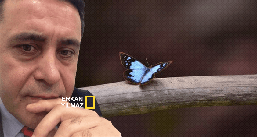 Erkan Yılmaz - "Kelebek etkisi" mi, "Sedat Peker etkisi" mi!.. - Vimarsana News