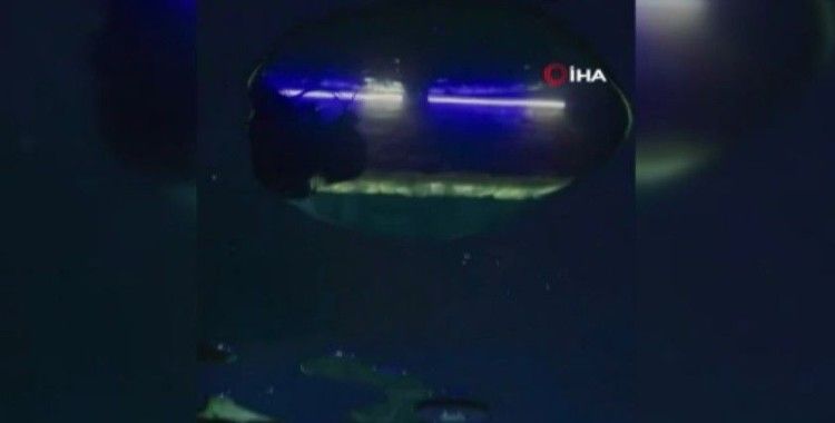 Dünyanın en derin havuzu Duabi’de meraklılarını bekliyor