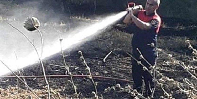 Ateş savaşçılarının hızlı müdahalesi, zeytin ağaçlarını korudu